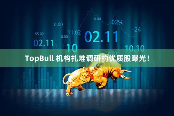 TopBull 机构扎堆调研的优质股曝光！
