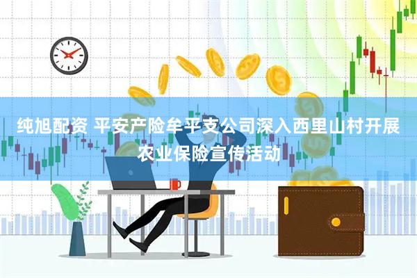 纯旭配资 平安产险牟平支公司深入西里山村开展农业保险宣传活动