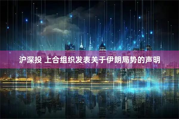 沪深投 上合组织发表关于伊朗局势的声明
