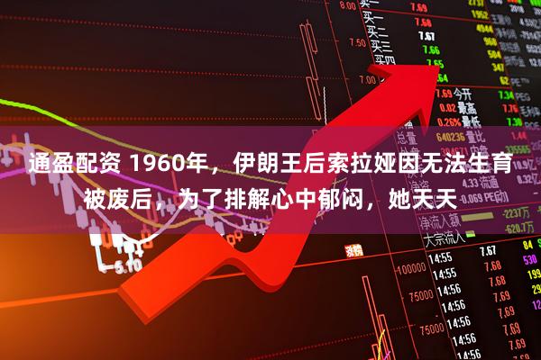 通盈配资 1960年，伊朗王后索拉娅因无法生育被废后，为了排解心中郁闷，她天天