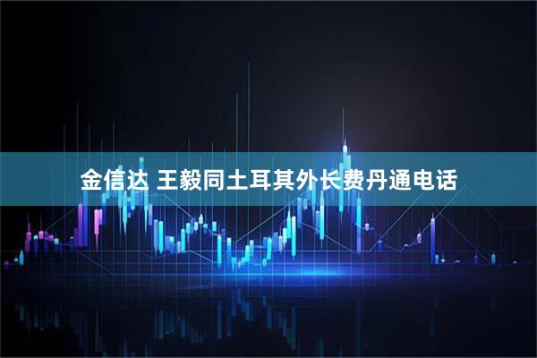 金信达 王毅同土耳其外长费丹通电话