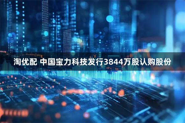 淘优配 中国宝力科技发行3844万股认购股份