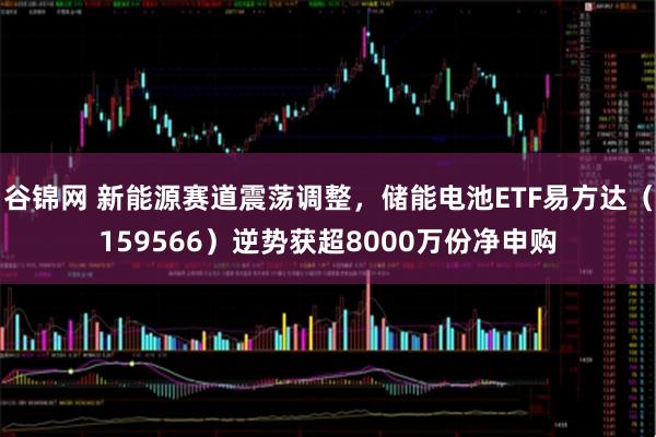 谷锦网 新能源赛道震荡调整，储能电池ETF易方达（159566）逆势获超8000万份净申购